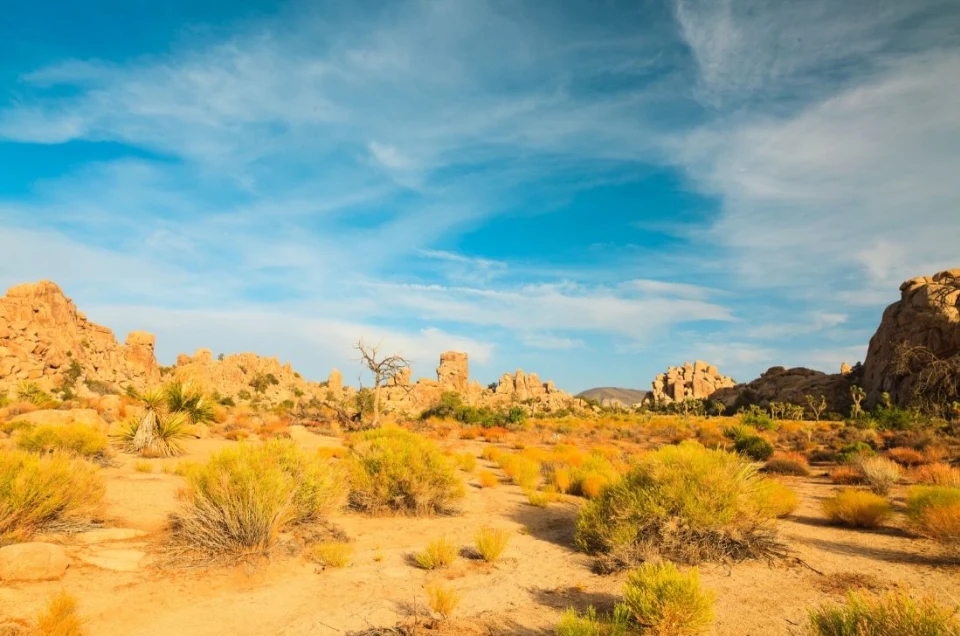 California and the Golden West Summer